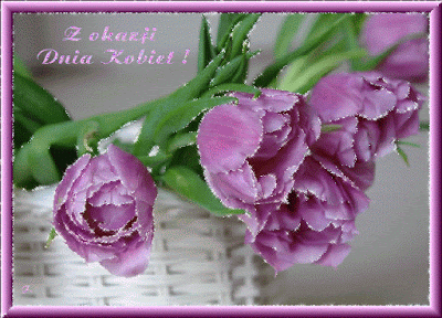 Błyszczące fioletowe tulipany z okazji dnia kobiet